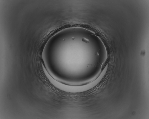 X0000093611157200710221601