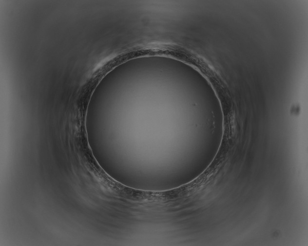 X0000093611158200710221601
