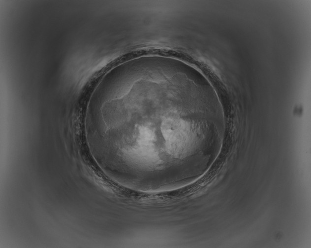 X0000093611159200710221601