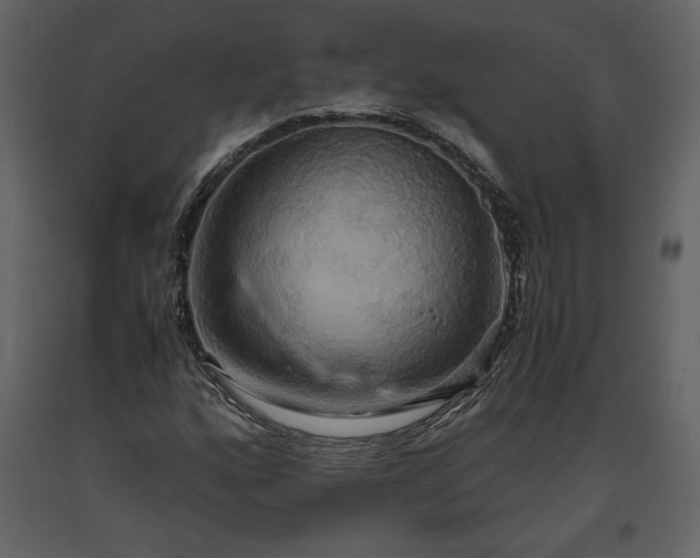 X0000093611160200710221601