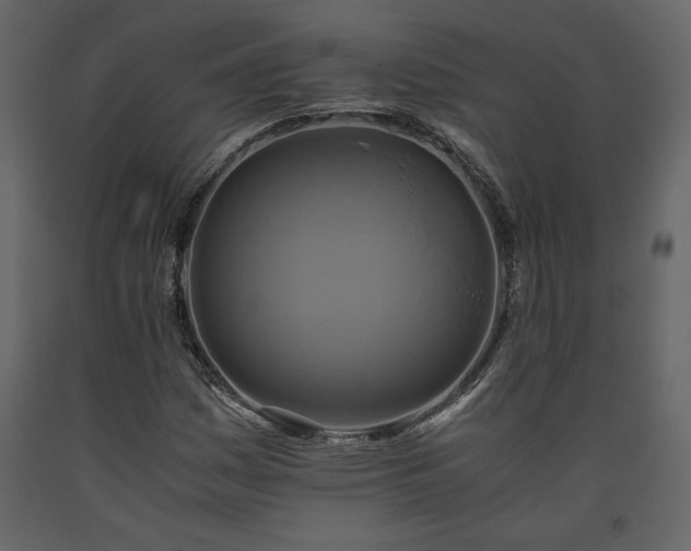X0000093611161200710221601