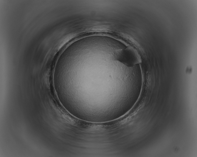 X0000093611162200710221601