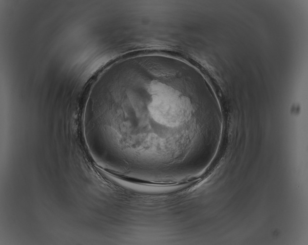 X0000093611163200710221601