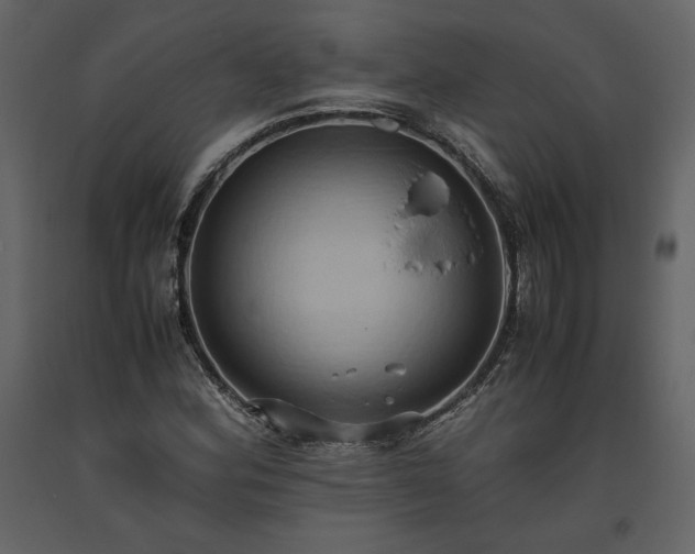 X0000093611164200710221601