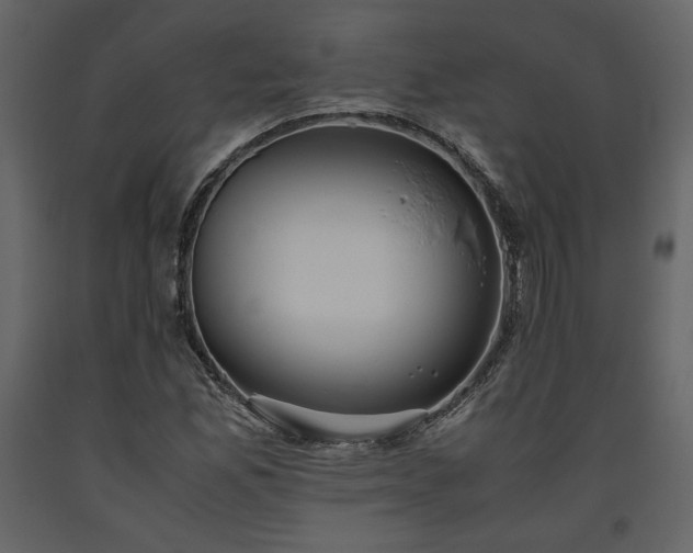 X0000093611165200710221601