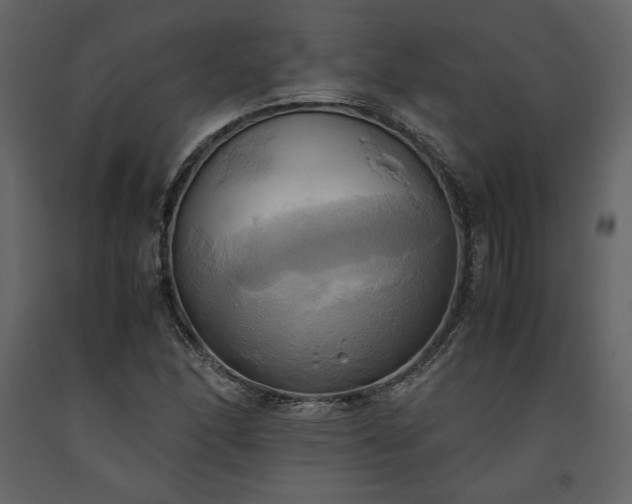 X0000093611166200710221601
