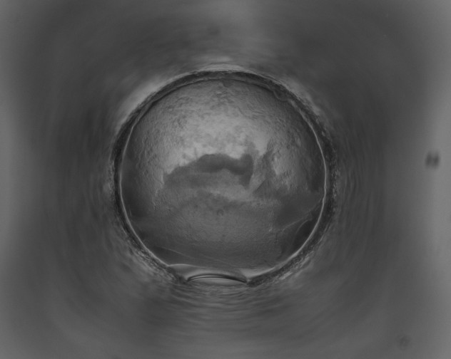 X0000093611167200710221601
