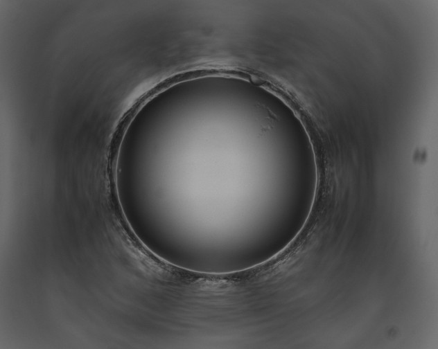 X0000093611168200710221601
