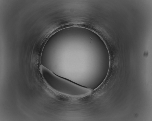 X0000093611169200710221601