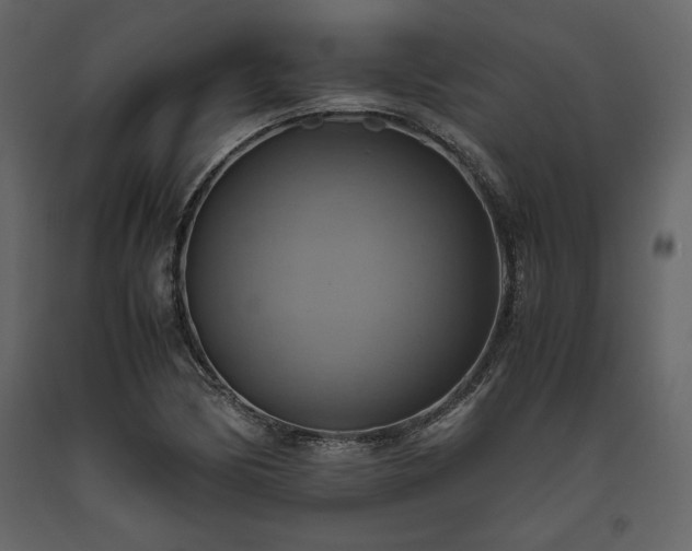 X0000093611170200710221601