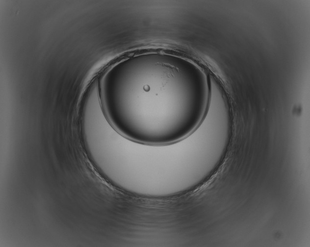 X0000093611172200710221601