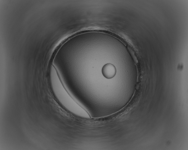 X0000093611173200710221601