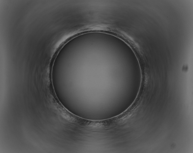X0000093611174200710221601