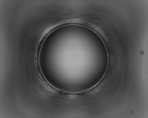 X0000093611176200710221601