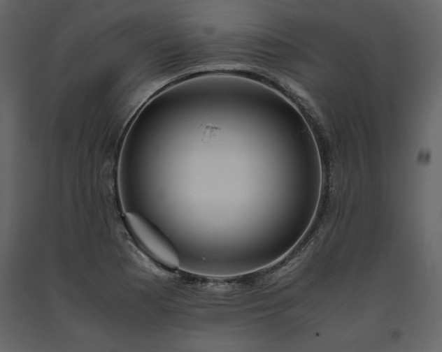 X0000093611177200710221601