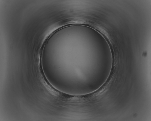 X0000093611179200710221601