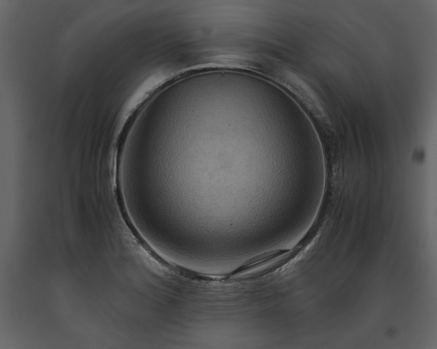 X0000093611180200710221601