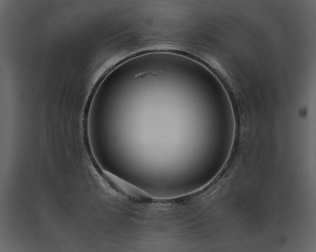 X0000093611181200710221601
