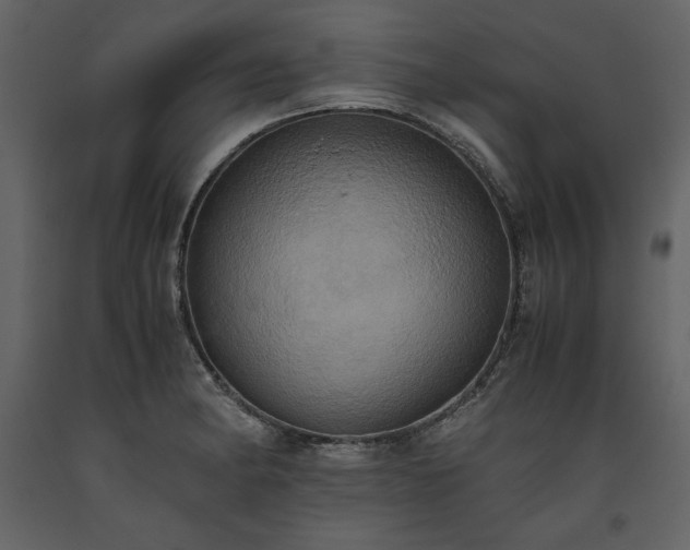 X0000093611182200710221601