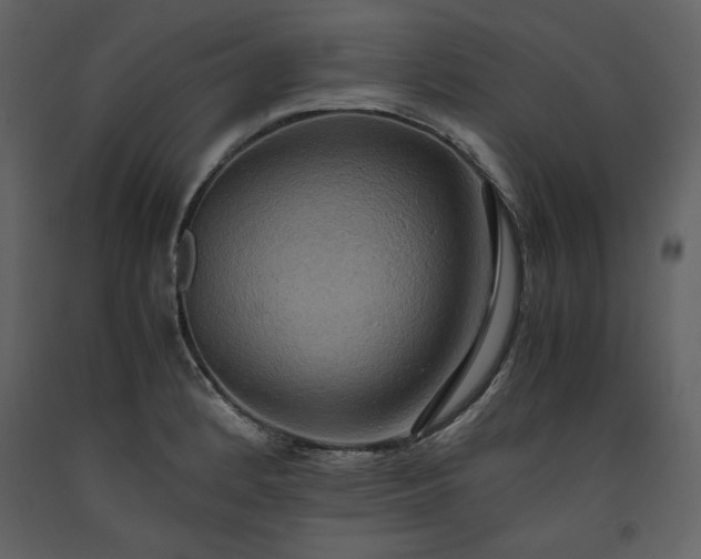 X0000093611184200710221601
