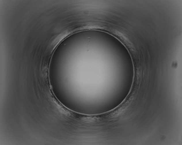 X0000093611185200710221601
