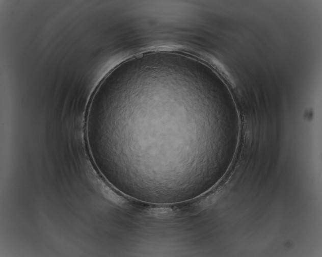 X0000093611186200710221601