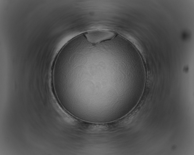 X0000093611187200710221601