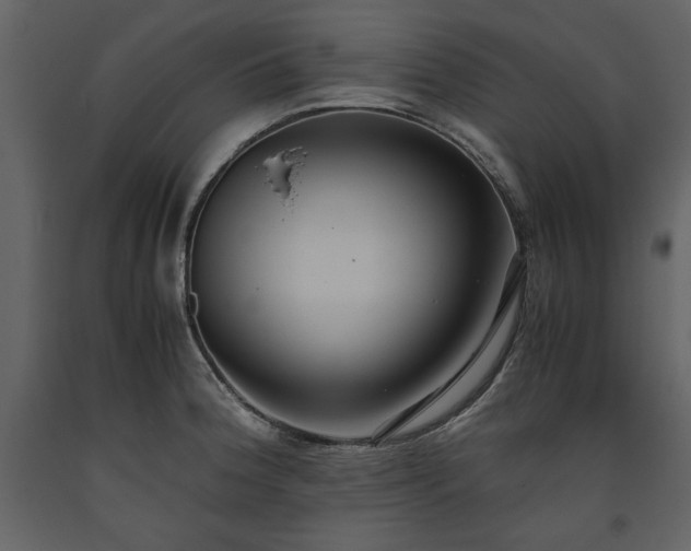 X0000093611188200710221601