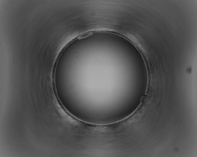 X0000093611189200710221601