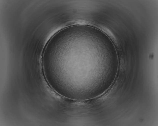 X0000093611190200710221601