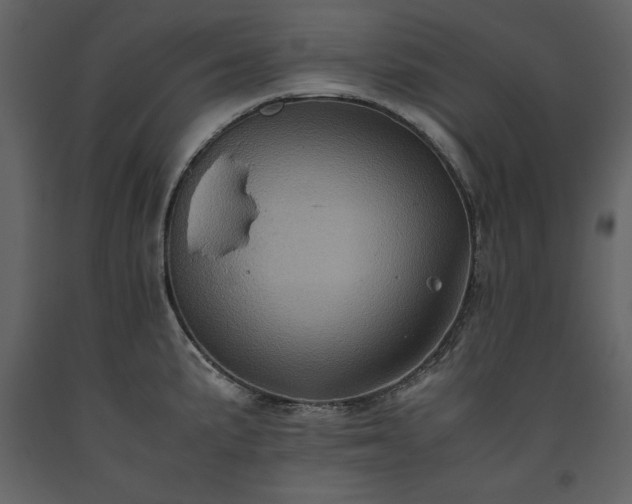 X0000093611191200710221601