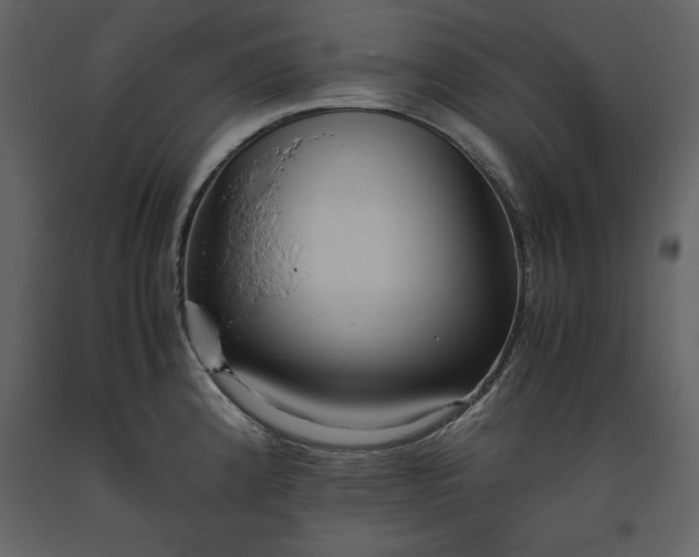 X0000093611192200710221601