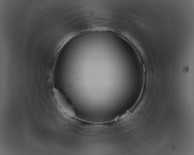 X0000093611193200710221601