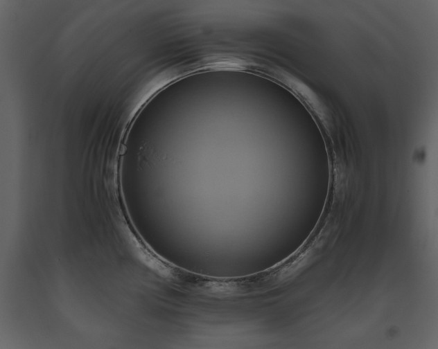 X0000093611194200710221601