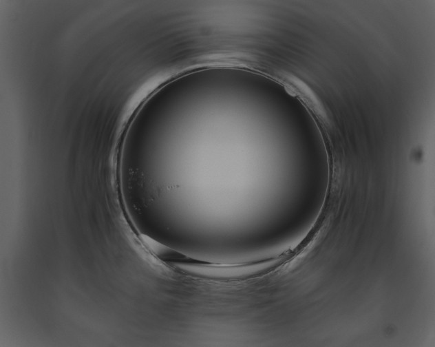 X0000093611196200710221601