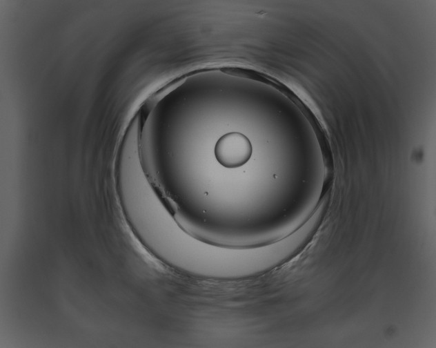 X0000093611197200710221601