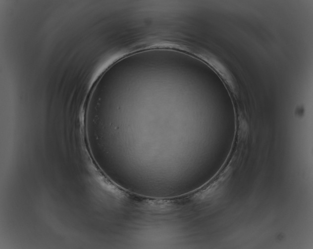 X0000093611198200710221601
