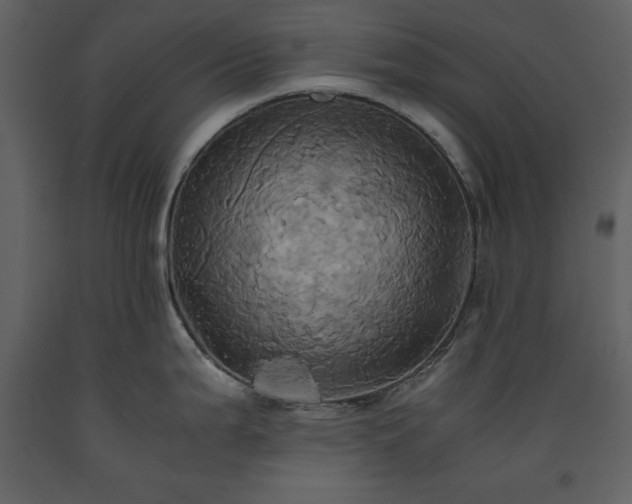 X0000093611199200710221601