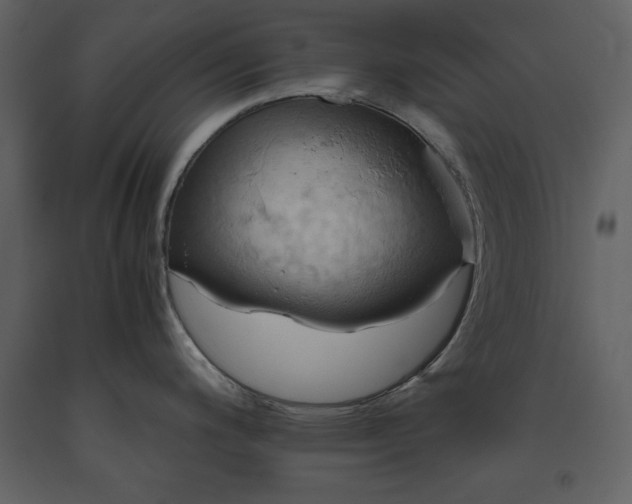 X0000093611200200710221601