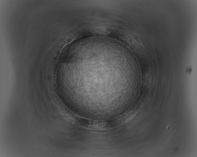 X0000093611201200710221600