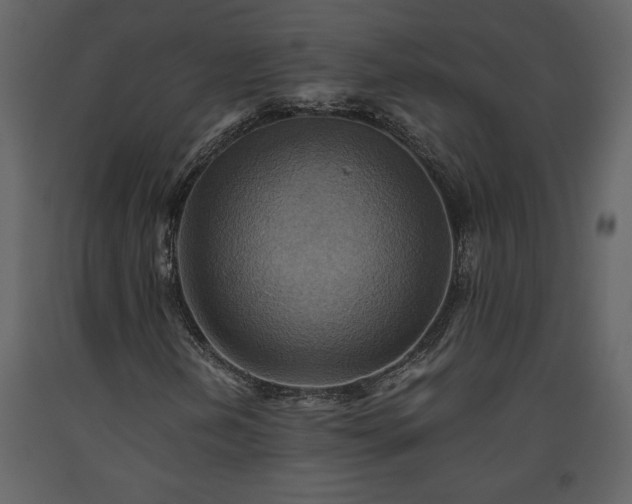 X0000093611202200710221600