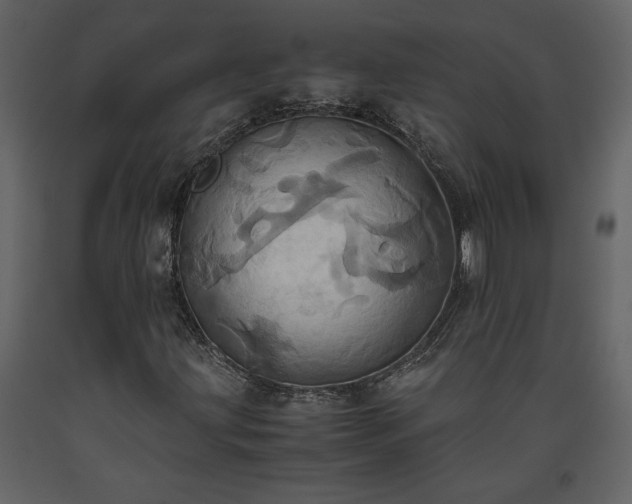 X0000093611203200710221600