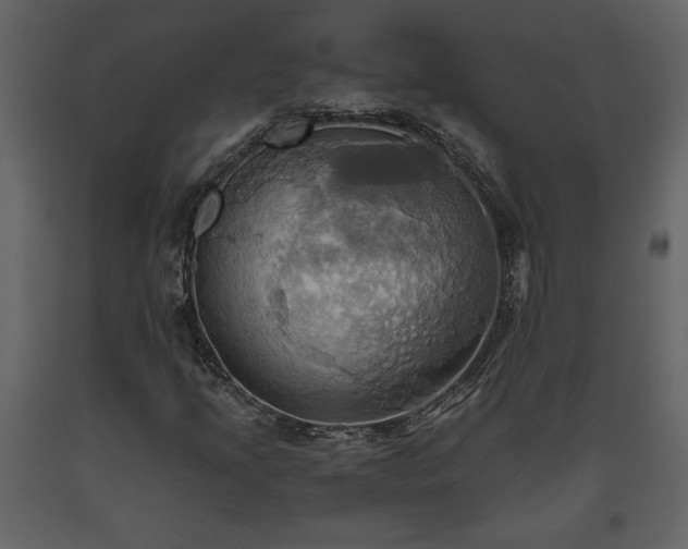 X0000093611205200710221600
