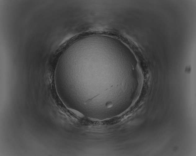 X0000093611206200710221600