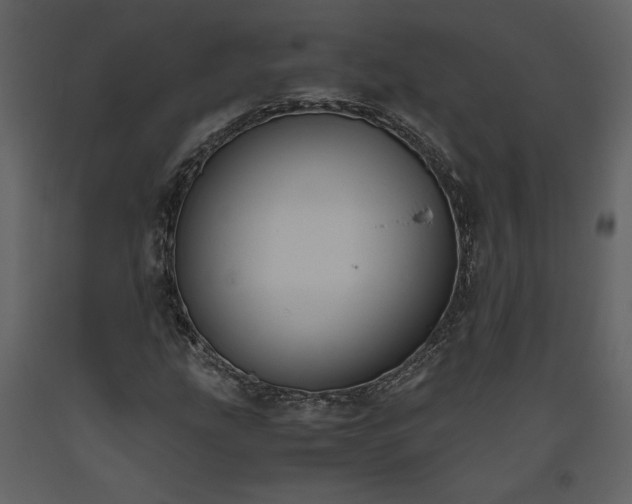 X0000093611207200710221600
