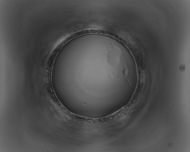 X0000093611208200710221600