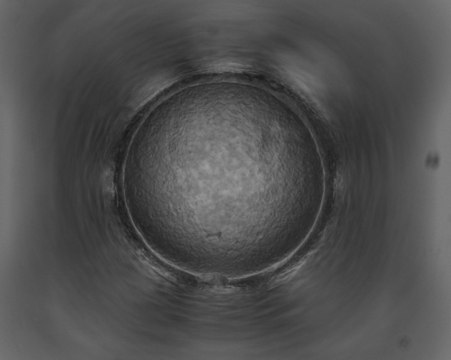 X0000093611209200710221600