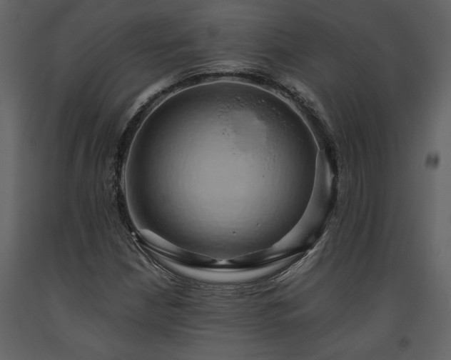 X0000093611210200710221600
