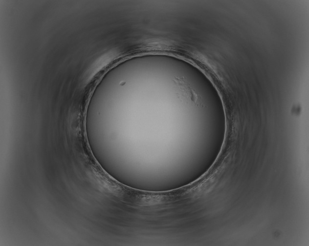 X0000093611211200710221600