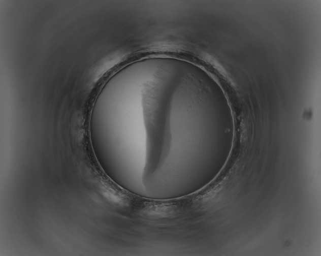 X0000093611213200710221600